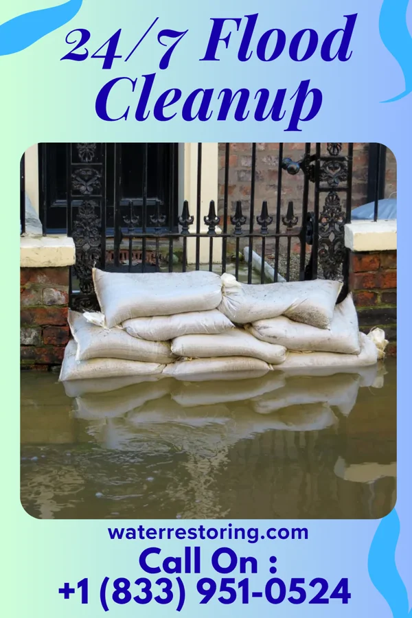 24/7 Flood Cleanup in Lohrville, IA