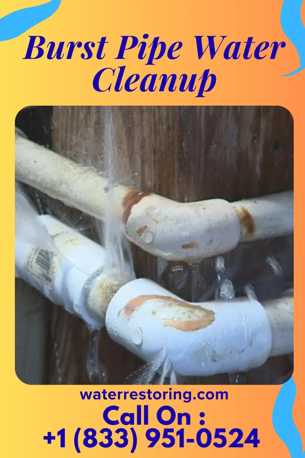 Burst Pipe Water Cleanup in Lohrville, IA