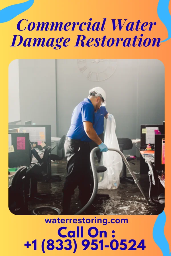 Commercial Water Damage Restoration in Lohrville, IA
