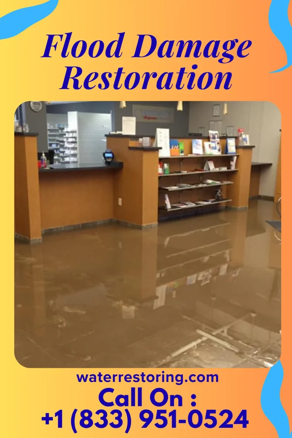 Flood Damage Restoration in Lohrville, IA