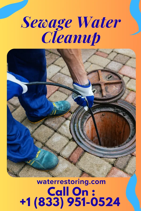 Sewage Water Cleanup in Lohrville, IA